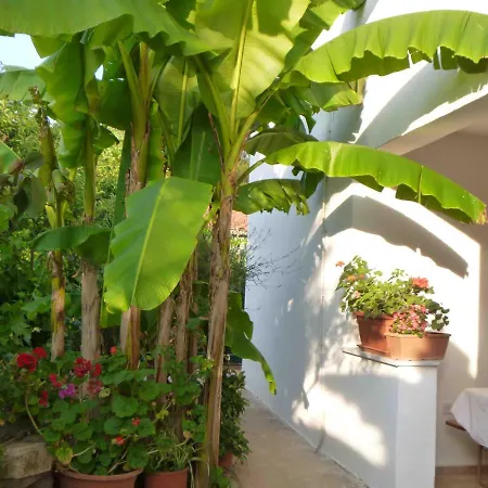 Apartment The With Air Conditioned Porec